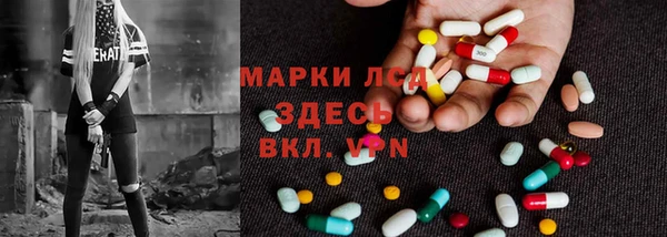 spice Аркадак