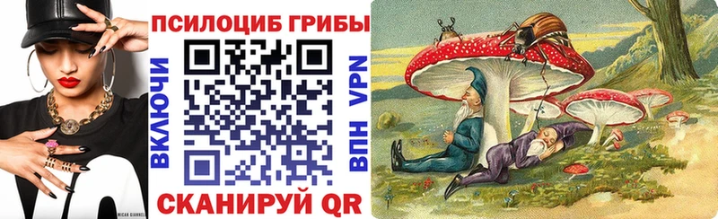 Галлюциногенные грибы Psilocybe  Кизел 